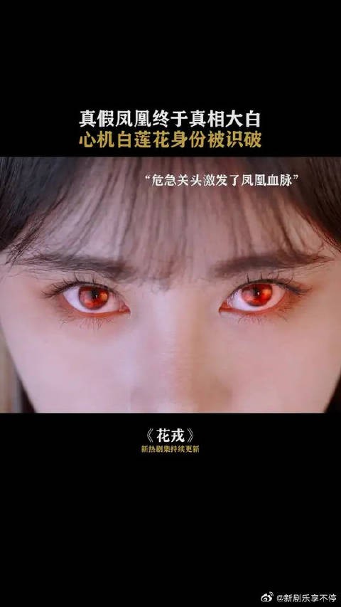 天命凤凰变低贱孔雀?真假凤凰终于真相大白