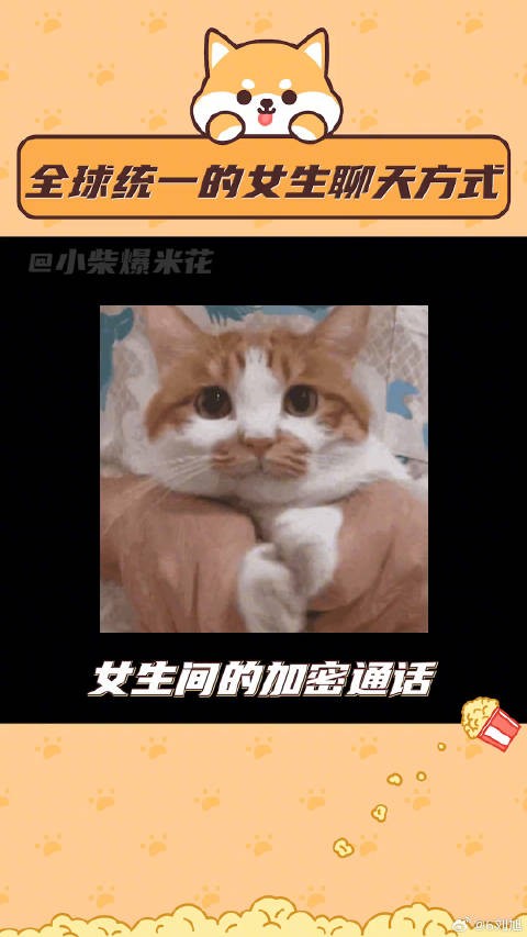 女生间全球统一的聊天方式,他怎么能这样啊!懂得都懂~日常