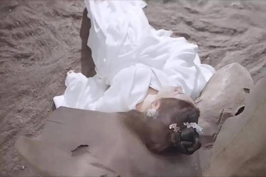 女子为保护主人付出一切