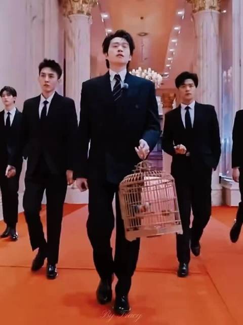 周五晚高疯官宣九位艺人引爆期待