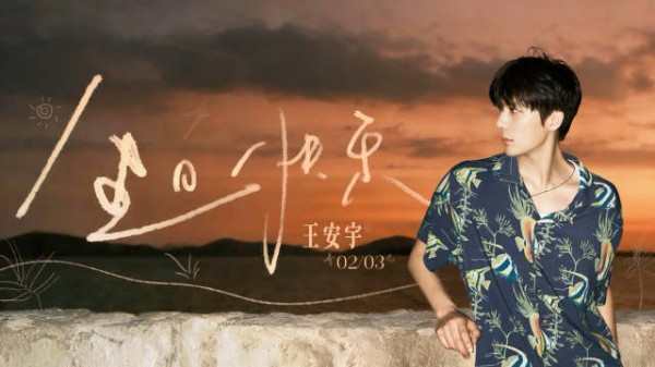 王安宇生日发文：“「二十八.」 ”