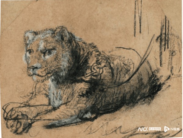 伦勃朗素描《休憩的幼狮》拍出1270万欧元高价