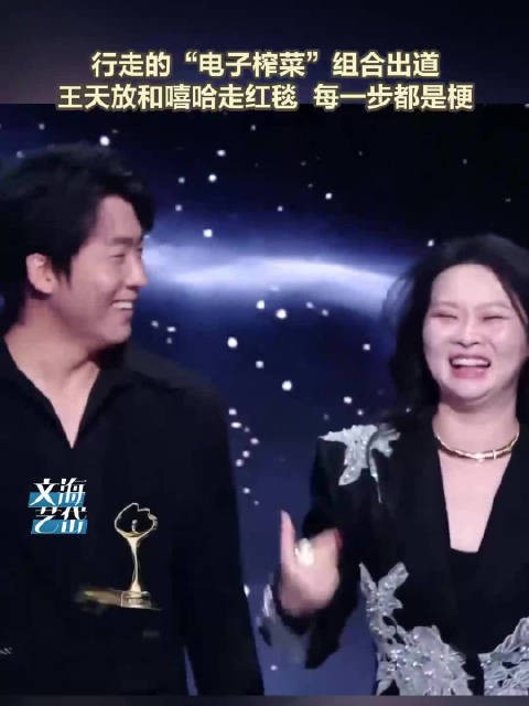 王天放嘻哈走红毯都这么有梗