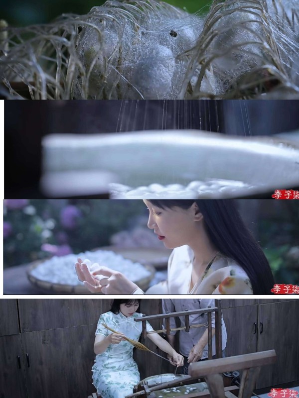 从镜头前到田埂上！李子柒转型幕后，普通农民能跟着沾光吗？