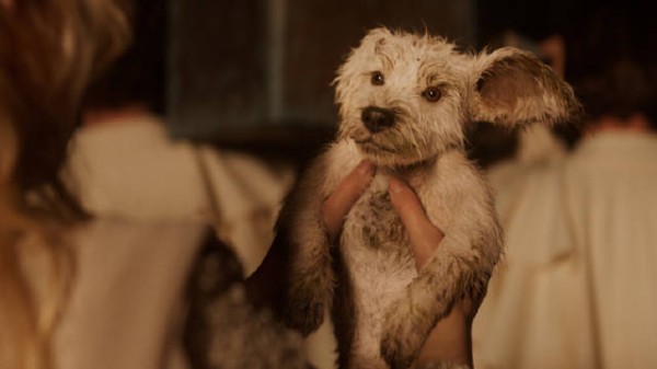 DC新片《超级少女》预告曝光，超女卡拉与小氪初遇