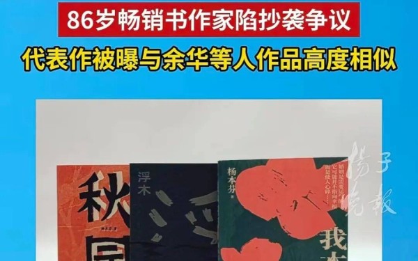 86岁杨本芬承认抄袭:不少网友选择包容,但守住创作底线不分年龄、不分出身
