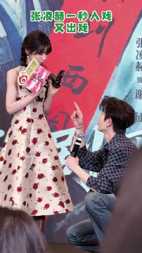 这个张凌赫就这样一秒入戏又出戏哈哈哈！