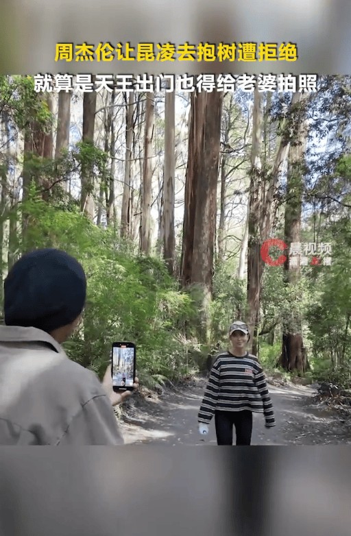 周杰伦耐心教授昆凌拍视频秘诀 让老婆去抱树拍照遭拒绝！