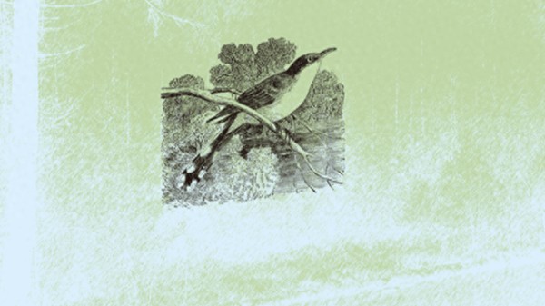 自然写作：科学精神的播种