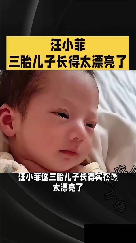 汪小菲三胎儿子五官精致,鼻梁高挺似父亲眼睛有神似母亲