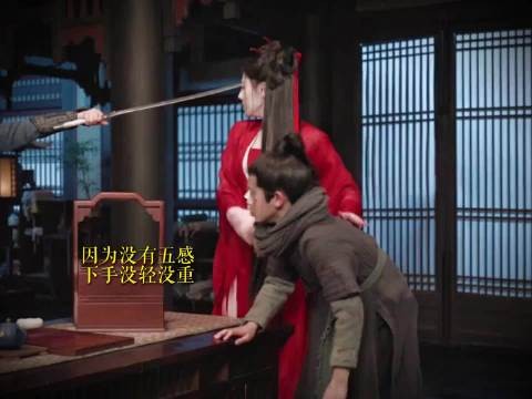 《白日提灯》复刻《苍兰诀》设定,男女主角色对调