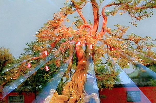 《西游记》五庄观为何只供天地不供三清？并非是镇元子狂妄自大