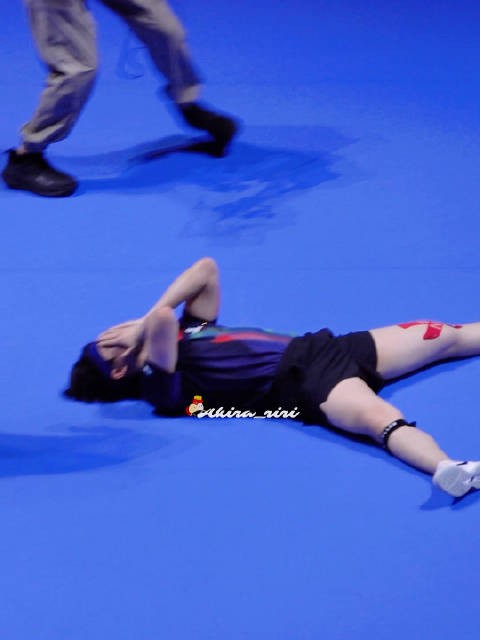 王楚钦夺冠时刻引发观众欢呼