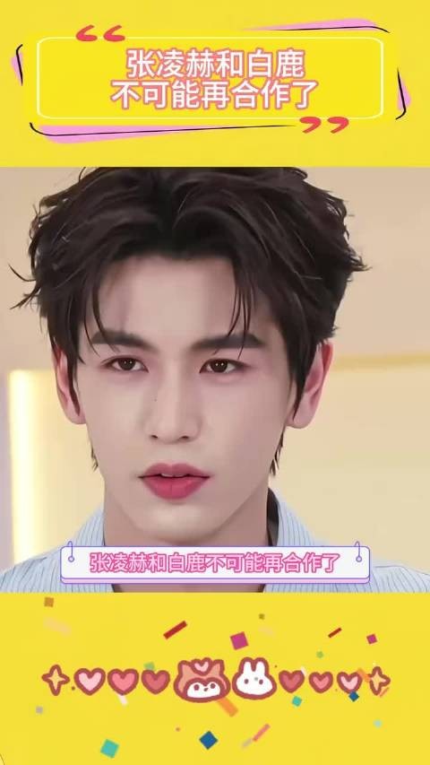 张凌赫白鹿终止合作原因披露