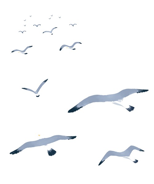 【云图百科】华夏典藏：故宫博物院——清明上河图