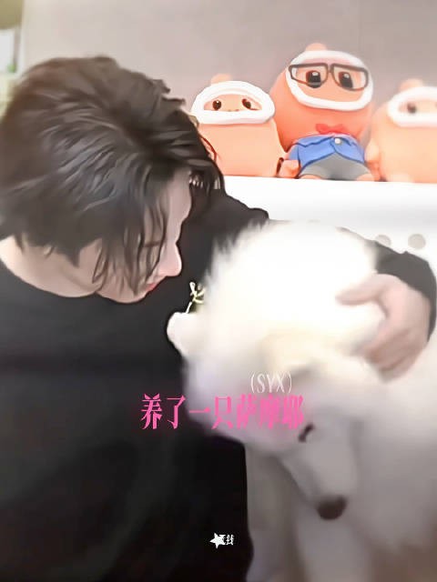 震惊！宋亚轩和萨摩耶竟然只差了三个字！