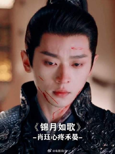 禾晏受伤肖珏都要心疼死了