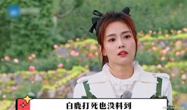 杨紫半个吃剩的凉薯，轻松替白鹿解围