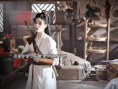 辛湄三次金丹跌落境界皆因管人间事