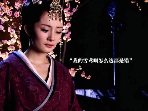 我永远无法原谅《美人心计》里的慎儿逼死了我的雪鸢