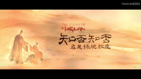 王鹤润从知否华兰到佳偶天成辛湄突破多角色