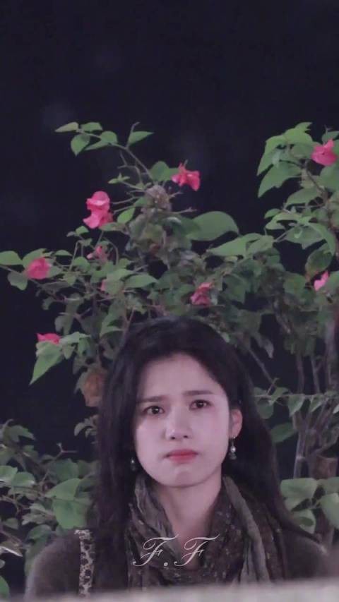 张婧仪真的是天选疼痛文学女主 看得我都好心碎
