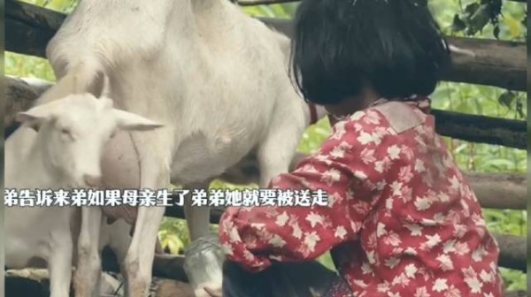 忆秦娥获新生,来弟盼弟困深山