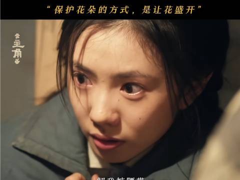 宋师静候花绽，伴你共赴成长之旅 王少熙 电视剧主角 因为一个片段看了整部剧