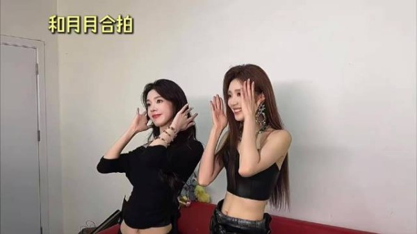 瑶月合拍引发网友热议