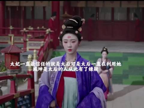 原来咸坤是太后的人,太妃一直被他们俩个骗