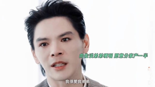 向佐受访谈弟弟向佑,哽咽自责父母偏心