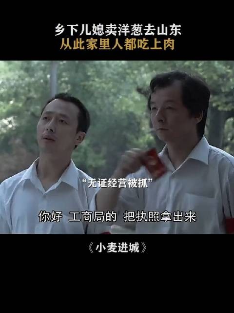 王小麦的经历告诉我,女人必须有自己的事业