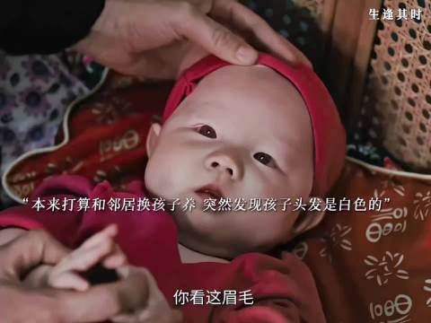 到底是自己喂大的，心中还是不舍