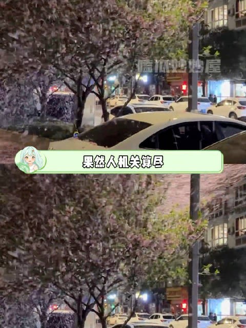 果然人机关算尽不如命运轻描一笔万万没想到