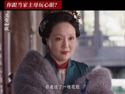 能坐到这个位置的，都是心眼子冠军 兰香如故 许兰香 杜翠雀 杜小莲 秦舜华