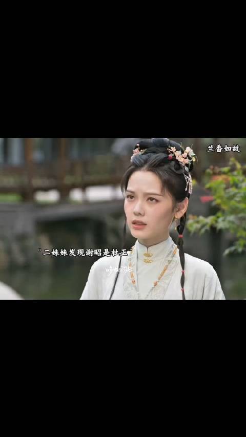二妹妹发现一直喜欢的谢昭居然是杜正，林锦岐慢慢的被兰香吸