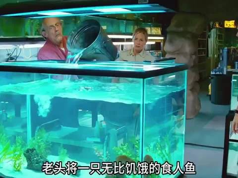 水上乐园闯入大量的食人鱼，他们能否化解这场危机