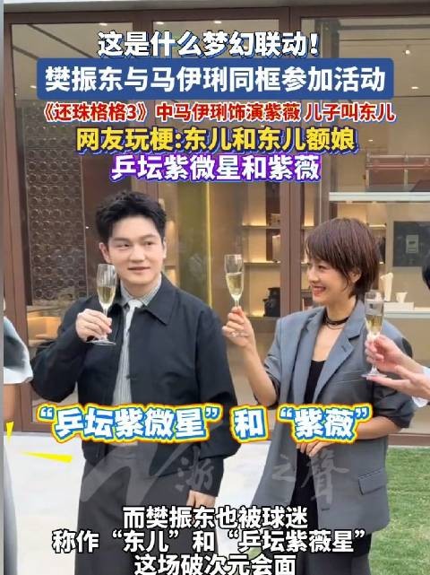 樊振东马伊琍同框梦回还珠