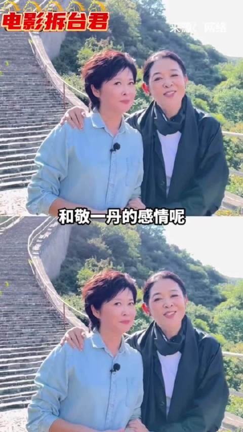 倪萍写给敬一丹的信,三千公里,终究没能送你最后一程