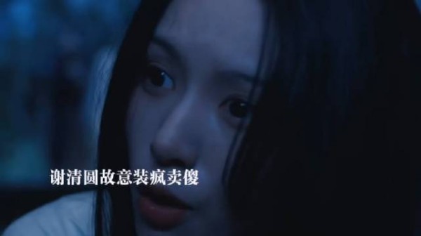 谢清圆装疯卖傻反击谢家众人