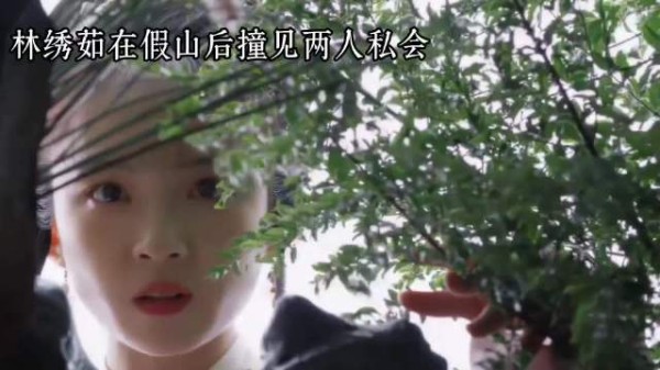林绣茹隐忍十几年代姐出嫁逆袭成侯府主母