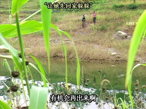 好剧推荐,《女人不是月亮》