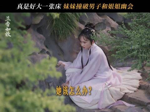 林绣茹撞见二姐姐林绣芄隐秘私情