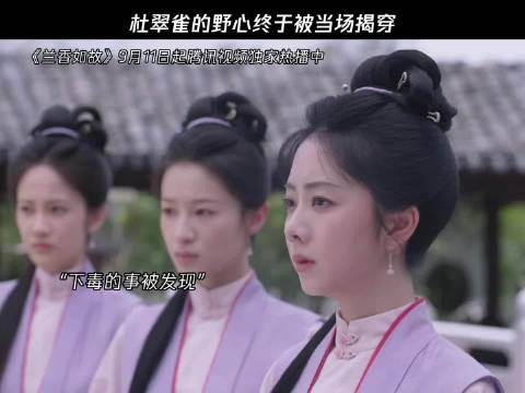 杜翠雀的野心终于被当场揭穿