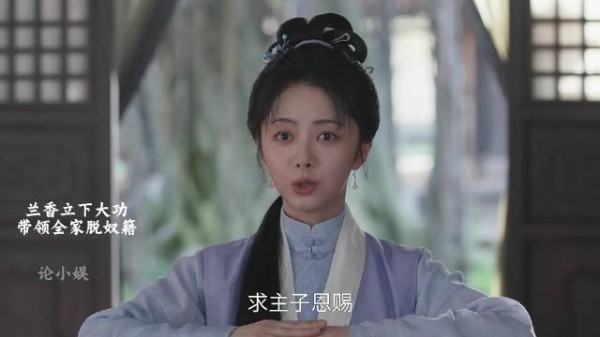 兰香脱离奴籍全款买大院,林锦岐捧兰花草告白