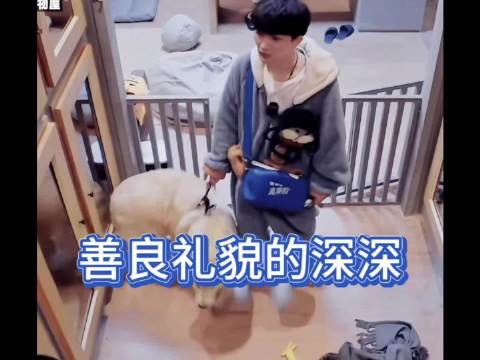 周深镶钻礼服贵气如小王子，礼貌温柔善待动物