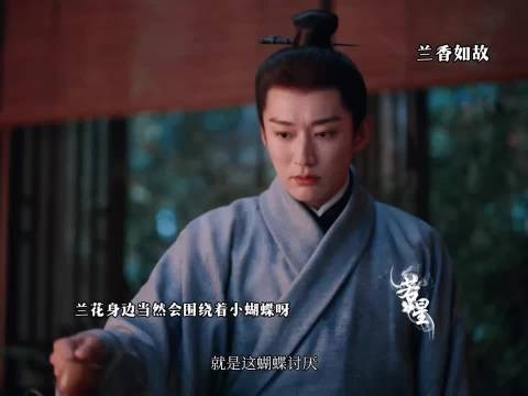 兰花身边肯定会围绕着蝴蝶呀给大爷到了 ,兰香如故