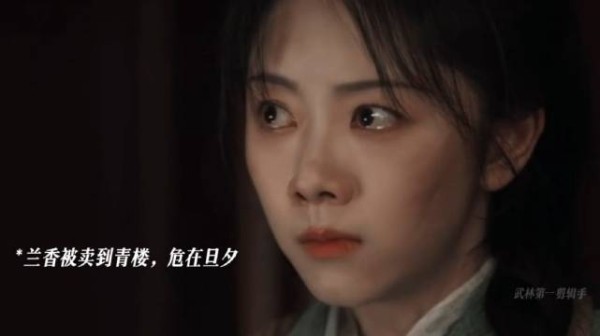 韩秀才要提亲兰香，林锦岐和郑蔓宜相亲！