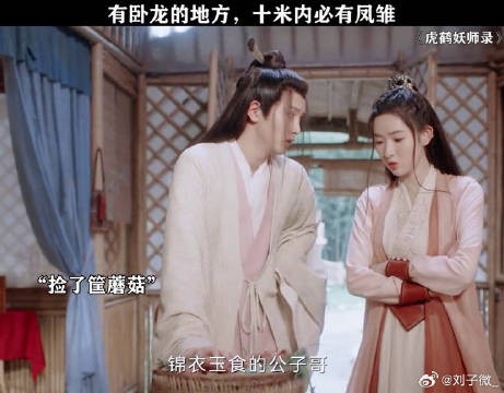 蘑菇：你能不能稍微犹豫犹豫尊重一下我 虎鹤喜剧梗太密了 蒋龙