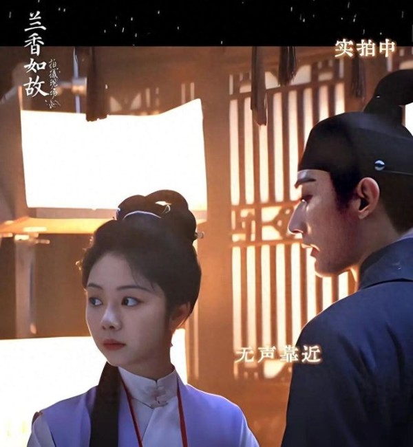 不苟言笑的冤大头林锦岐，居然也孔雀开屏撩老婆了！